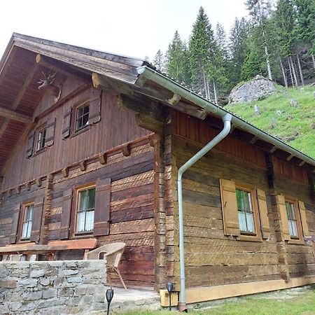 Vila Siegel Almhuette Zederhaus Exteriér fotografie