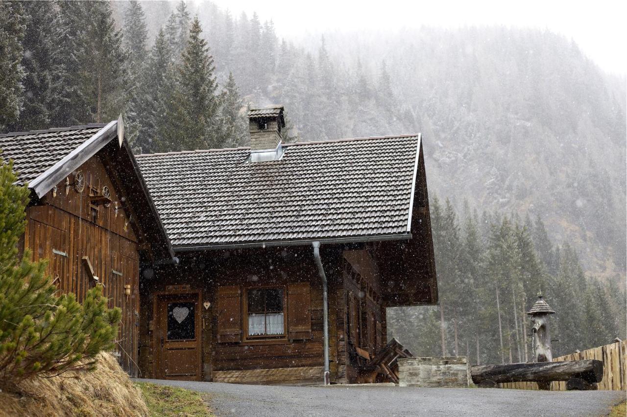 Vila Siegel Almhuette Zederhaus Exteriér fotografie