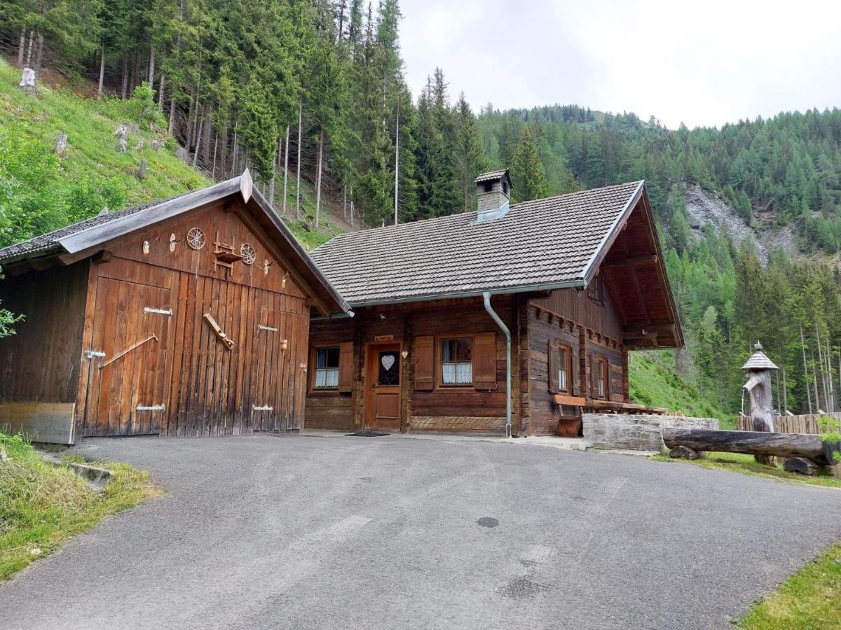 Vila Siegel Almhuette Zederhaus Exteriér fotografie